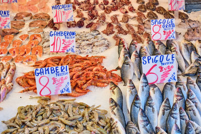 Bass and other fish and seafood for sale at a market in naples, italy