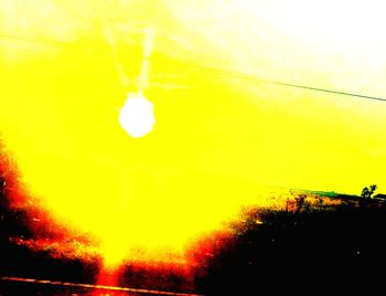 Sun shining through trees