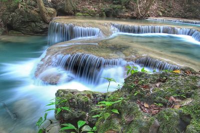 Scenic view of waterfall in forest