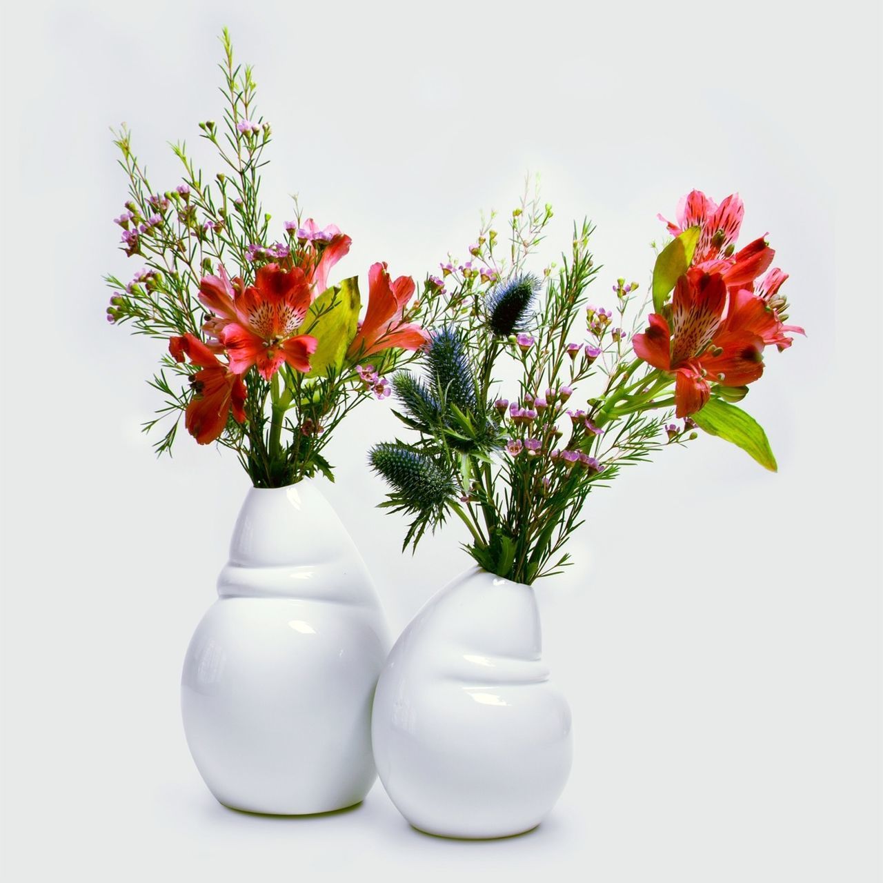 flower, white background, vase, freshness, studio shot, fragility, indoors, petal, close-up, glass - material, flower head, table, copy space, still life, red, plant, stem, leaf, growth, beauty in nature