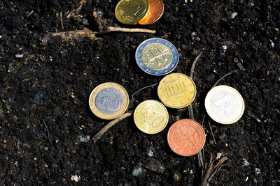 High angle view of coins on field