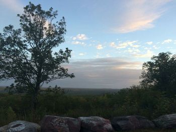 Scenic view of landscape against cloudy sky