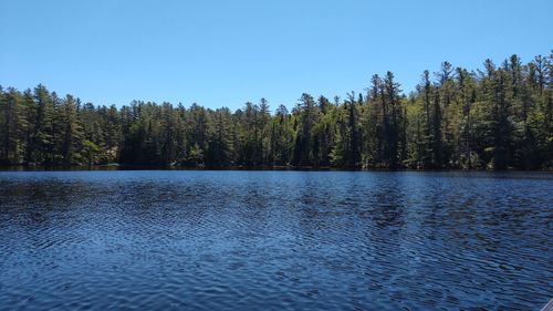 Scenic view of lake in forest against clear blue sky