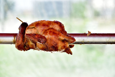 Close-up of rusty metal on rope