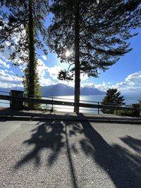 Road by trees against sky