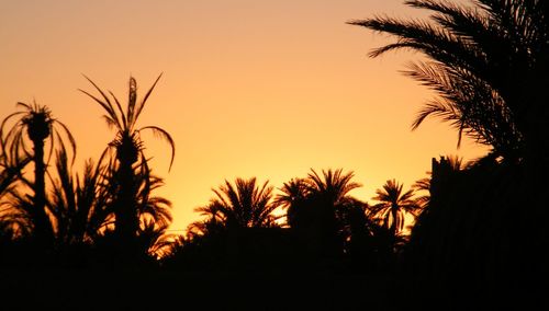 Silhouette palm trees against sky during sunset