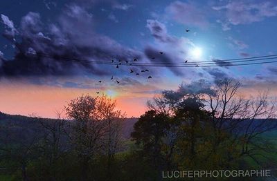 Silhouette trees against dramatic sky during sunset