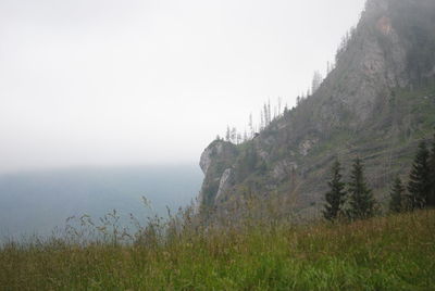 Scenic view of landscape by sea against sky