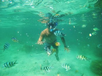 Man and fish swimming in sea