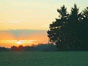 Silhouette of trees on landscape against sky at sunset