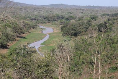 Scenic view of green landscape