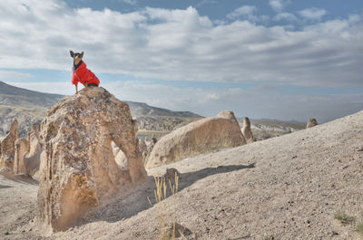 Scenic view of rock formations against sky with a pincher dog