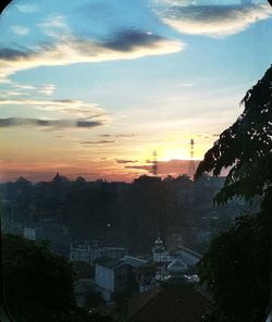 Scenic view of silhouette tree against sky during sunset