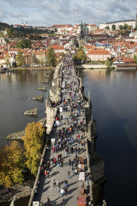 View of charles bridge karluv most from the height.