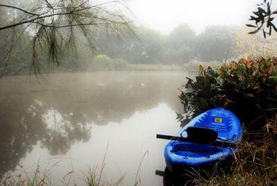 Boat in lake by trees