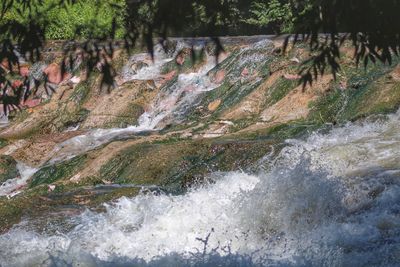 Scenic view of waterfall in forest