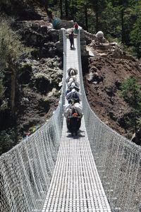 Rear view of people on footbridge in forest