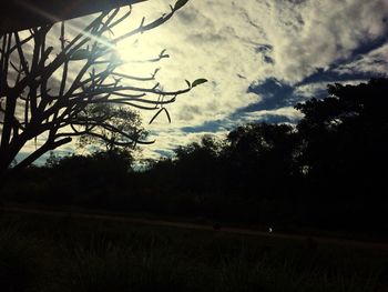 Low angle view of silhouette trees against sky at sunset