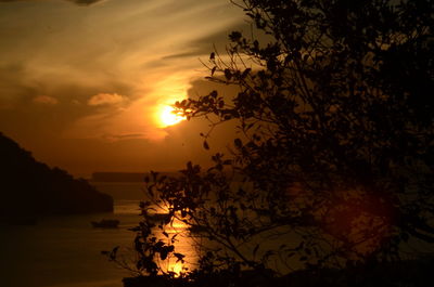 Silhouette tree by sea against orange sky