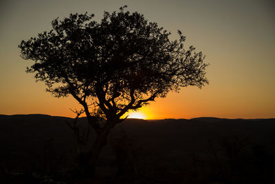 Silhouette tree against clear sky during sunset