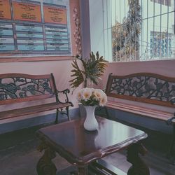 Potted plants on table at home