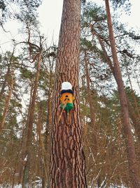 Low angle view of bird on tree against sky