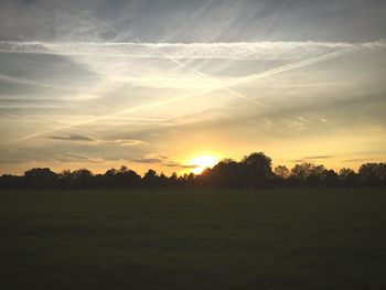 Sun shining through trees on field
