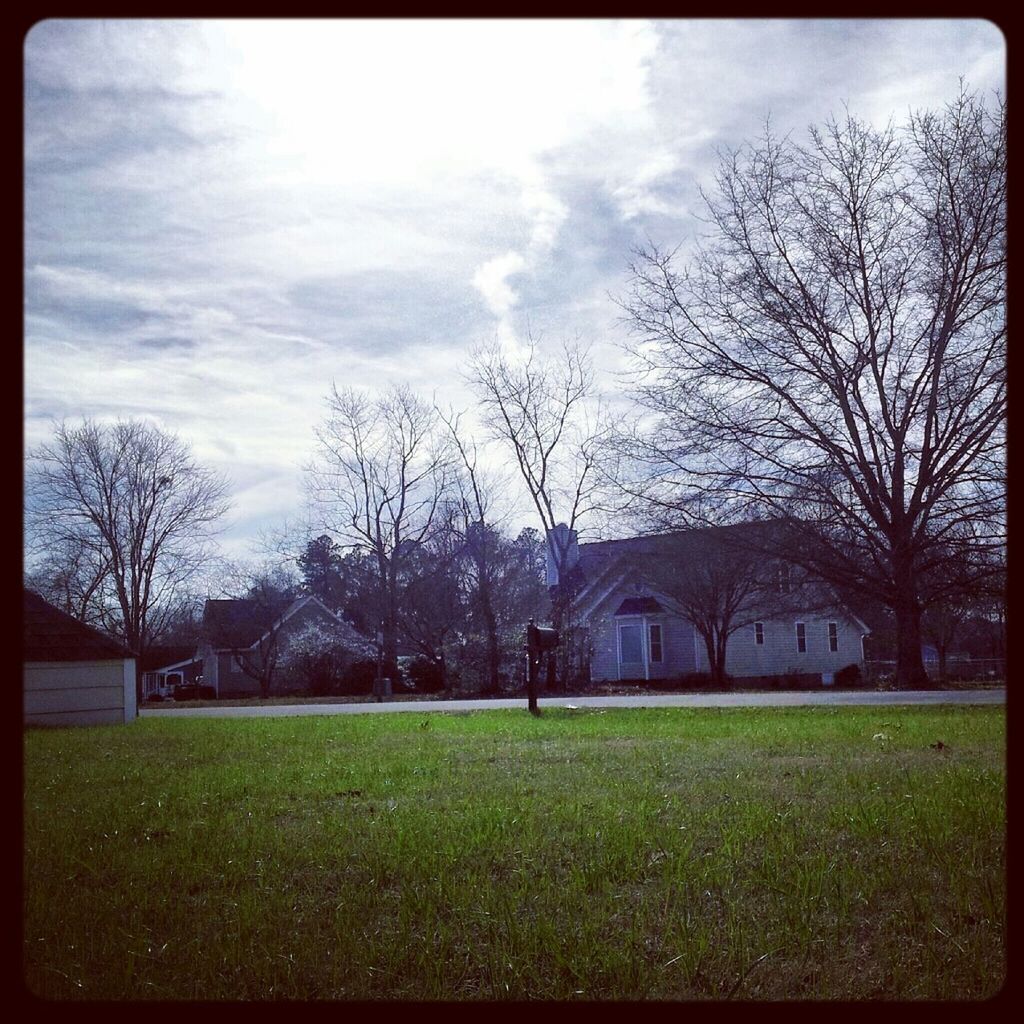 tree, transfer print, bare tree, sky, built structure, architecture, grass, building exterior, cloud - sky, auto post production filter, lawn, field, cloud, branch, house, park - man made space, nature, day, grassy, cloudy