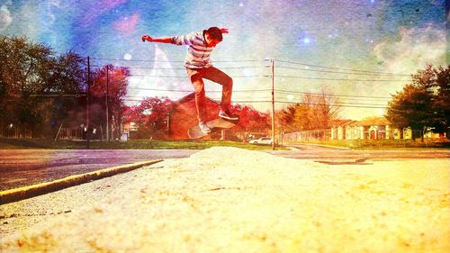 Trees against cloudy sky