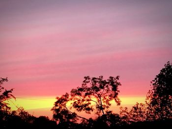 Low angle view of silhouette trees against sky during sunset