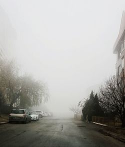 Cars on road in foggy weather