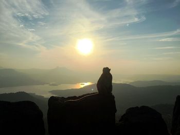 Silhouette monkey standing on rock against sky during sunset