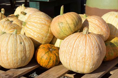 Close-up of pumpkins for sale at market stall