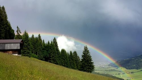 Rainbow over grassy field against cloudy sky