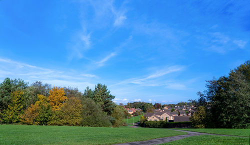 Trees and houses on field against blue sky