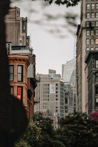 Buildings against sky