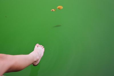 Low section of child playing with water