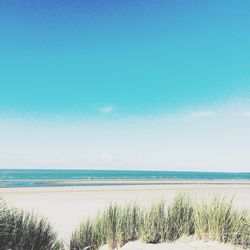 sea