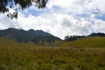 Scenic view of field against sky