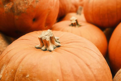 Full frame shot of  orange pumpkin