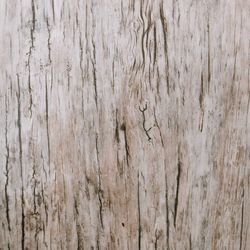 Full frame shot of weathered wooden wall