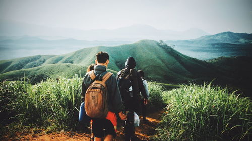 Rear view of man looking at mountain