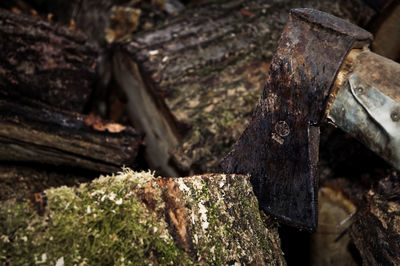 Close-up of axe on tree log