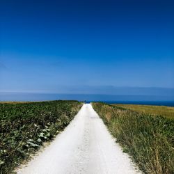 Empty road amidst field against blue sky