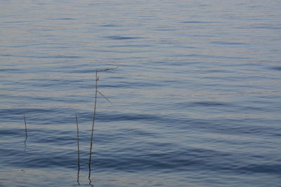 Full frame shot of rippled water