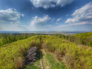 Scenic view of field against sky