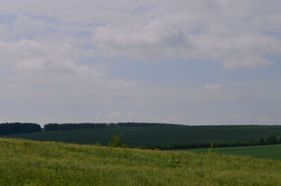 Scenic view of field against sky