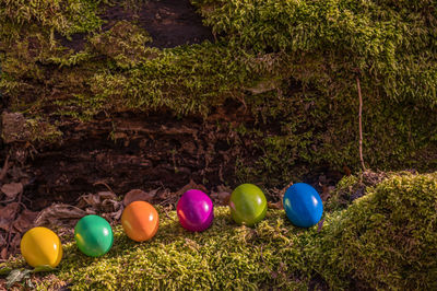 Multi colored eggs on grass
