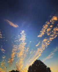 Low angle view of silhouette trees against sky at sunset