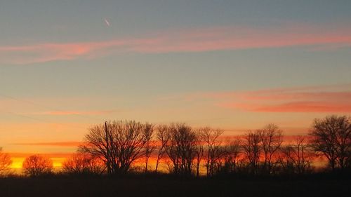 Bare trees on landscape at sunset